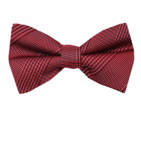 buy your ties Boys Pre Tied Bow Tie Style: B-PBT-11140