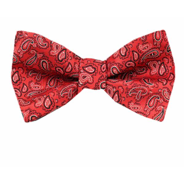 buy your ties Boys Pre Tied Bow Tie Style: B-PBT-11155