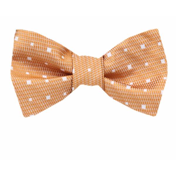 buy your ties Boys Pre Tied Bow Tie Style: B-PBT-11179