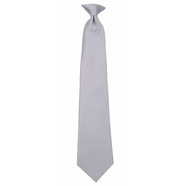 buy your ties Boys Silver Clip on Tie Style: B-CLIPON-ADF-12