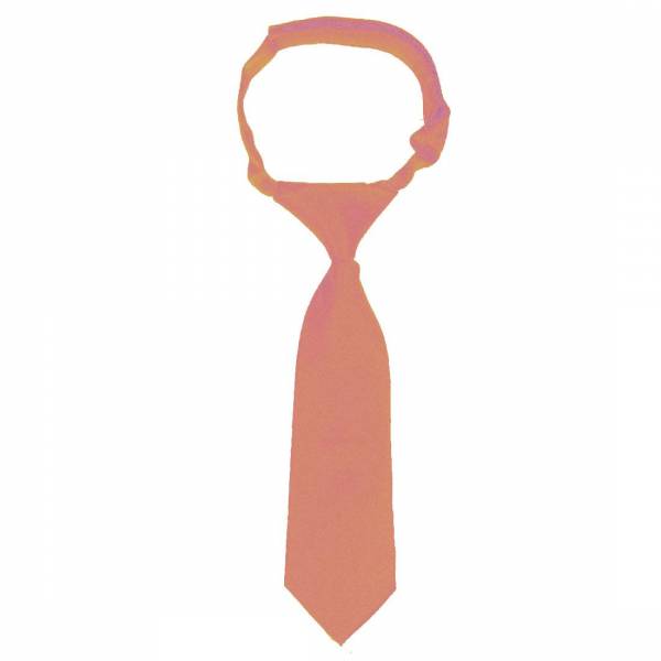 buy your ties Boys Velcro Tie Orange Style: B-VEL-ADF-48