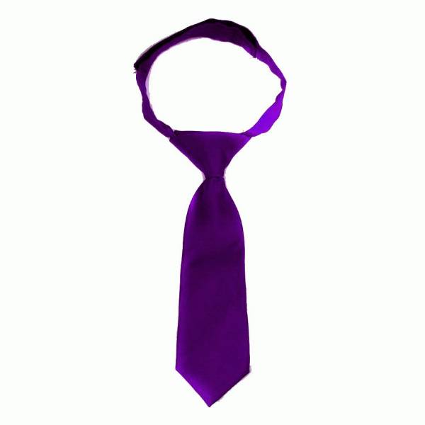 buy your ties Boys Velcro Tie Purple Style: B-VEL-ADF-6