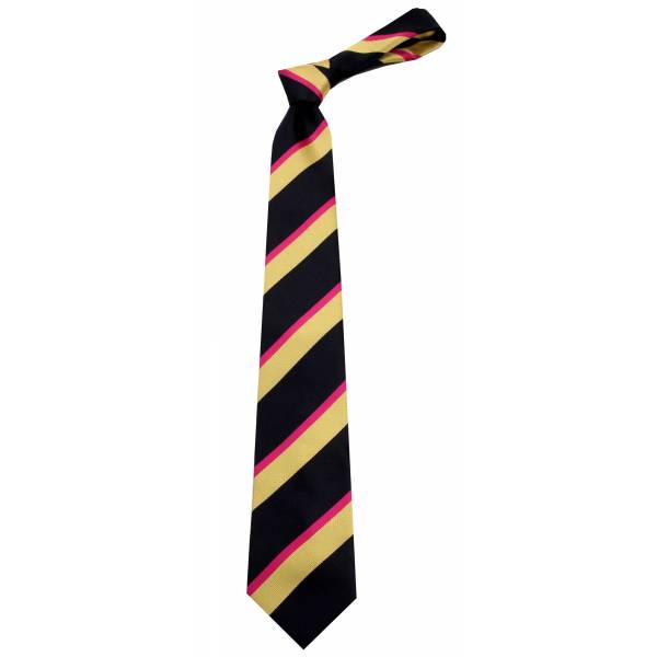 buy your ties Extra Long Tie + Hanky Style: XL-13146