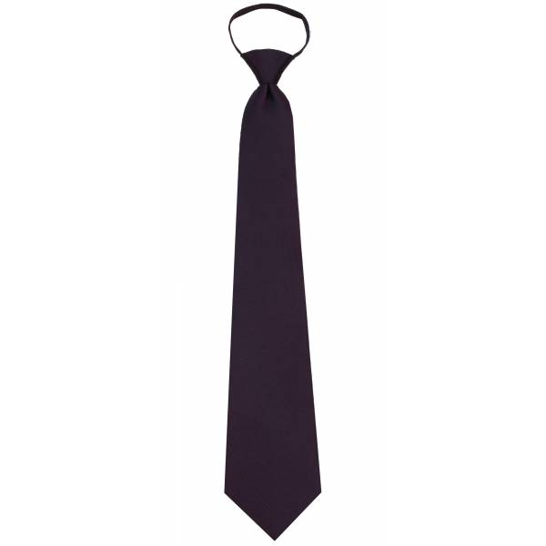 buy your ties Mens Zipper Tie Style: ZIP-12490