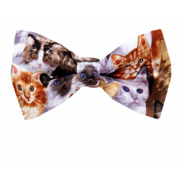 buy your ties Mixed Cats Style: PBTN-208