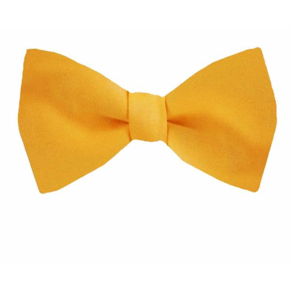 buy your ties Pre Tied Bow Tie Style: PBT-ADF-49