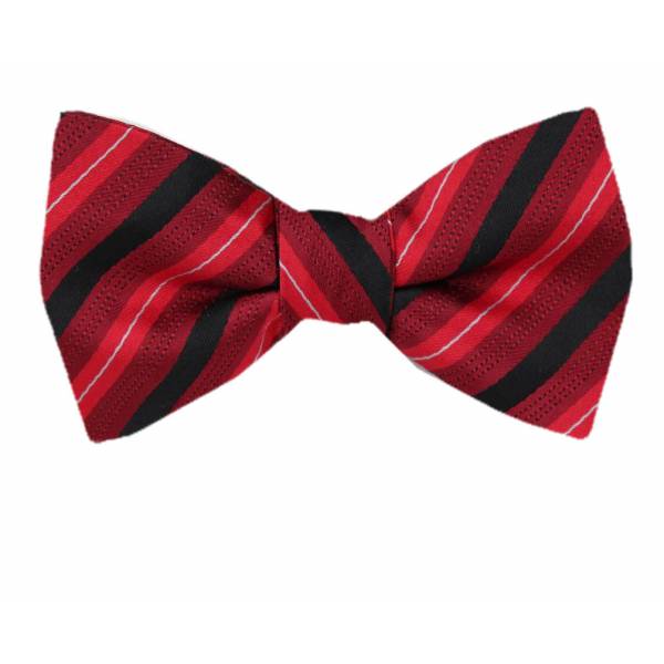 buy your ties Pre Tied Bow Tie Style: PBTZ-303