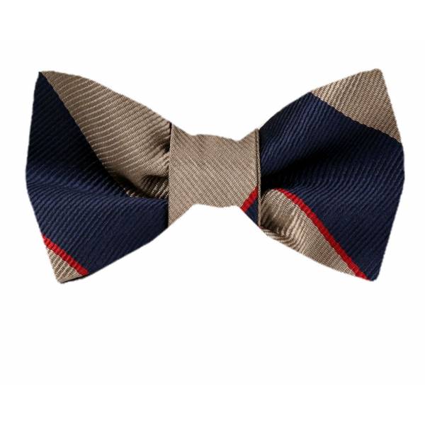 buy your ties Self Tie Bow Tie Style: FBTZ-1429