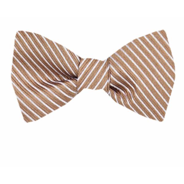 buy your ties Self Tie Bow Tie Style: FBTZ-976