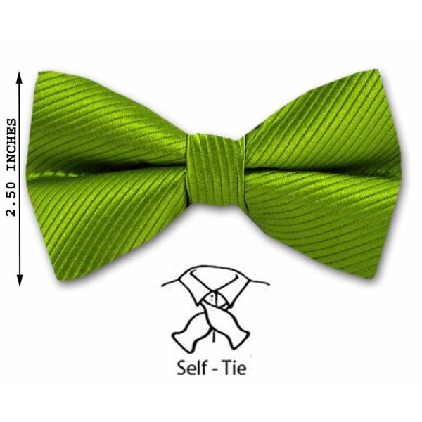 buy your ties Silk Self Bow Style: FBT-WF-16