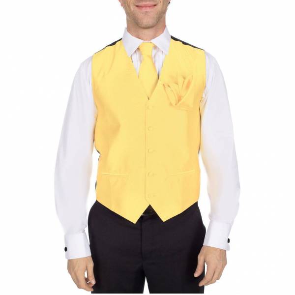 buy your ties Solid Vest Tie & Hanky Style: VTH-ADF-9