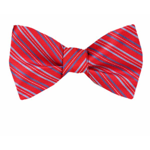 buy your ties XL Self Tie Bow Tie Style: FBTT-12227