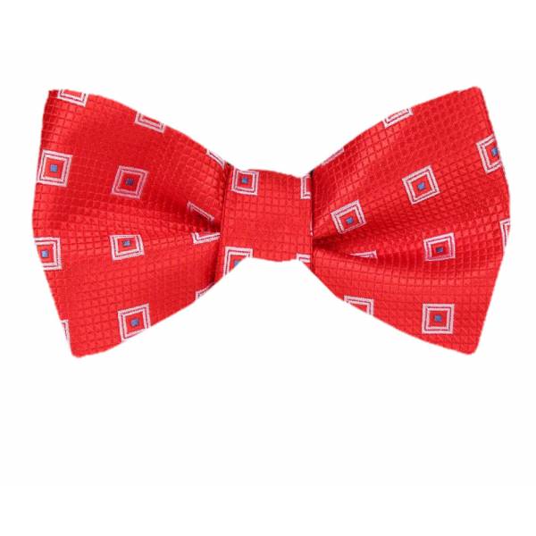 buy your ties XL Self Tie Bow Tie Style: FBTT-12231