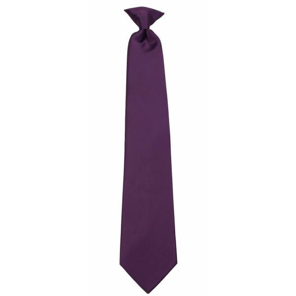 buy your ties Eggplant Clip on Tie Style: CLIPON-ADF-43