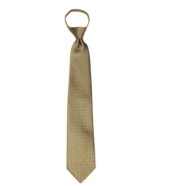 buy your ties Gold Pattern Men's Zipper Tie Style: ZIP-12802