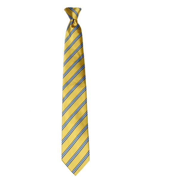 buy your ties Gold Stripe Clip On Tie Style: CLIPON-123