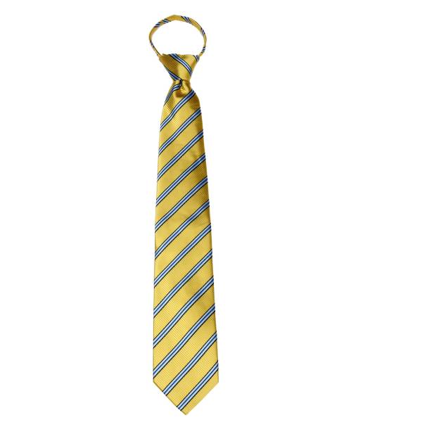 buy your ties Gold Stripe Men's Zipper Tie Style: ZIP-12803