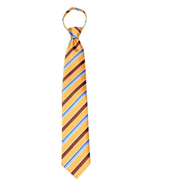 buy your ties Gold Stripe Men's Zipper Tie Style: ZIP-12804