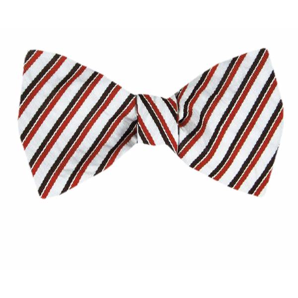 buy your ties Mens Self Tie Bow Tie Style: FBTZ-1829
