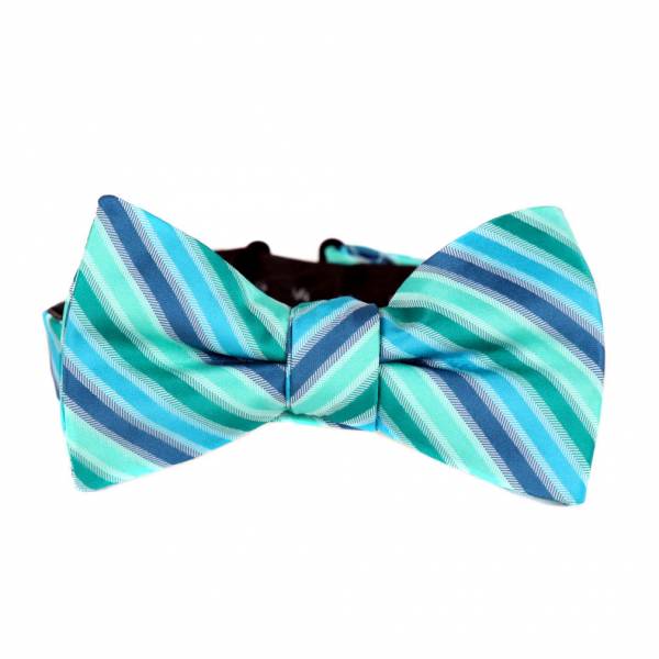buy your ties Pre Tied Aficionado Bow Tie Style: PBTZ-134