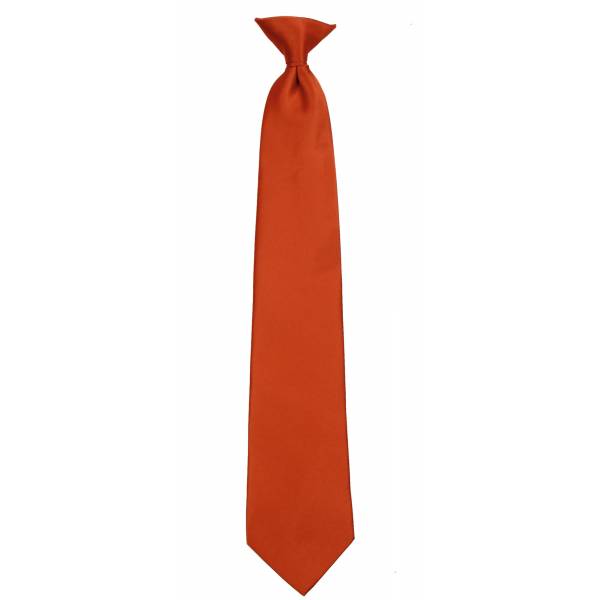 buy your ties Rust Boys Clip on Tie Style: B-CLIPON-ADF-27