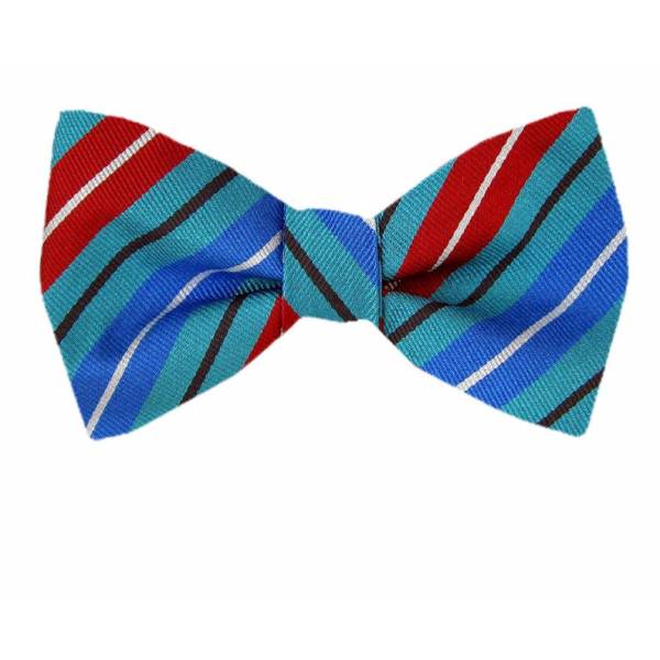 buy your ties Self Tie Bow Tie Blue Style: FBTZ-1148