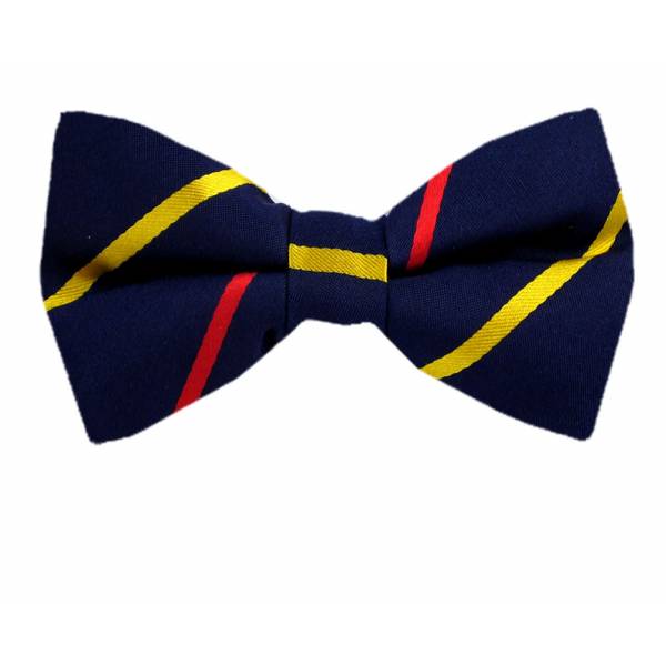 buy your ties Self Tie Bow Tie Blue Style: FBTZ-1204