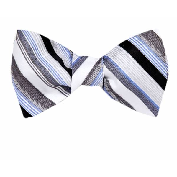 buy your ties Self Tie Bow Tie Blue Style: FBTZ-1221