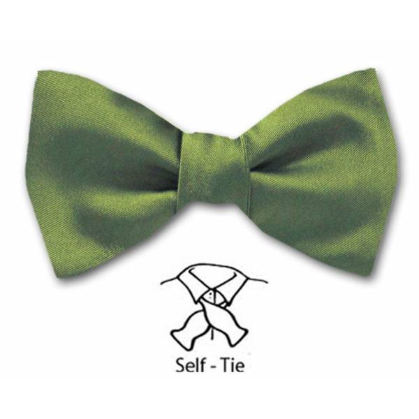 buy your ties Self Tie Bow Tie Green Style: FBT-ADF-26