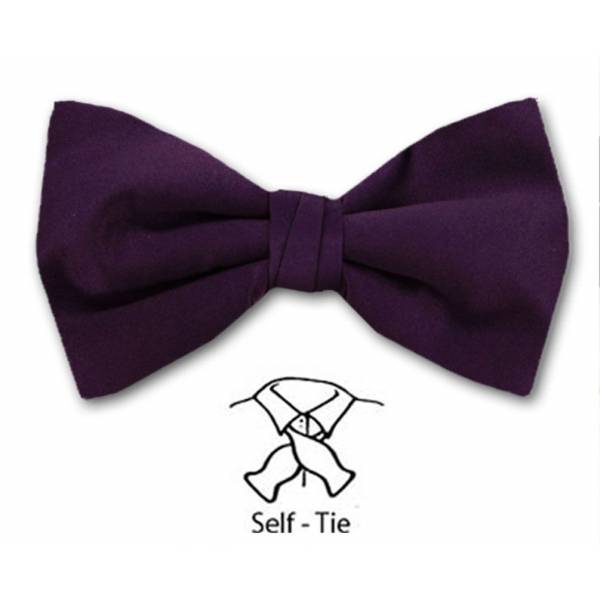 buy your ties Self Tie Bow Tie Purple Style: FBT-ADF-43