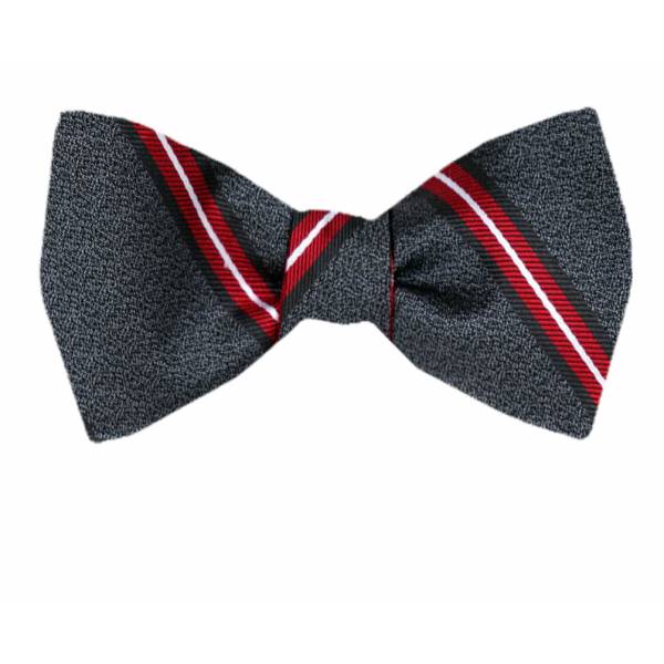 buy your ties Self Tie Reversible Aficionado Bow Tie Style: FBTZ-R-77