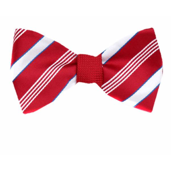 buy your ties Self Tie Reversible Aficionado Bow Tie Style: FBTZ-R-31
