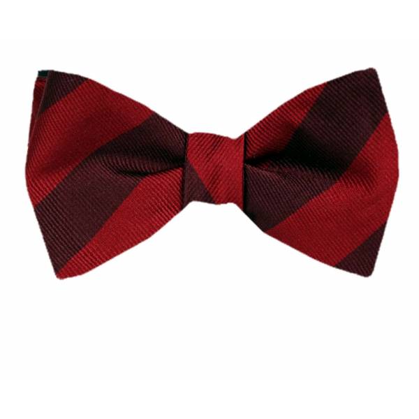 buy your ties Self Tie Reversible Bow Tie Style: FBTZ-R-163