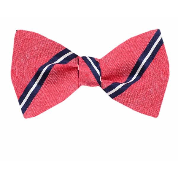 buy your ties Silk Self Tie Bow Tie Style: FBTZ-1251