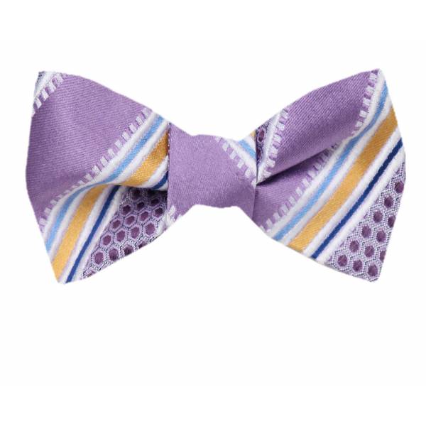 buy your ties Silk Self Tie Bow Tie Style: FBTZ-1309