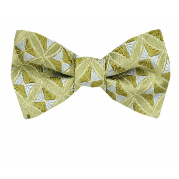 buy your ties Silk Self Tie Bow Tie Style: FBTZ-1331