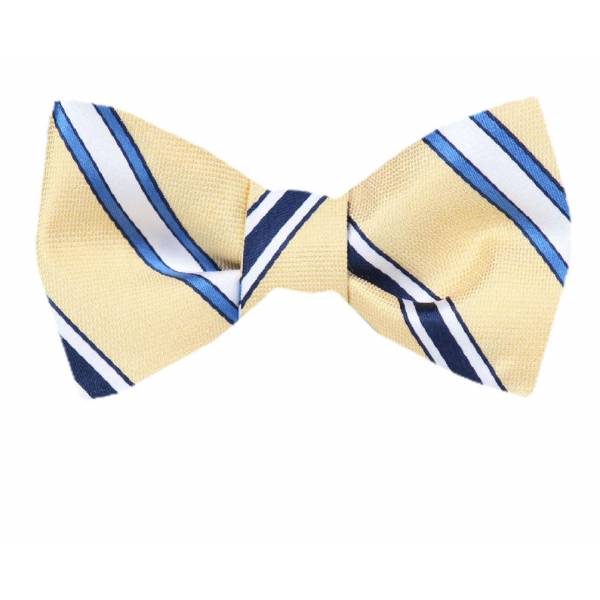 buy your ties Silk Self Tie Bow Tie Style: FBTZ-1351