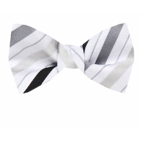 buy your ties Silk Self Tie Bow Tie Style: FBTZ-1354