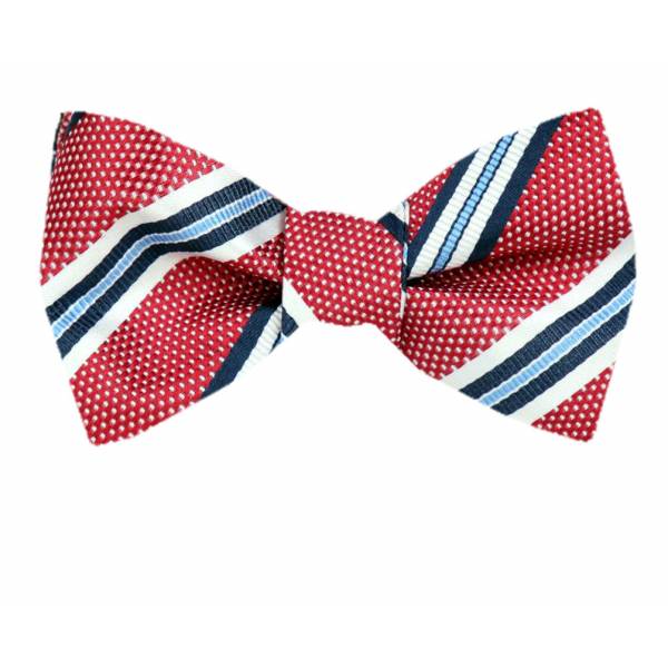 buy your ties Silk Self Tie Bow Tie Style: FBTZ-1465