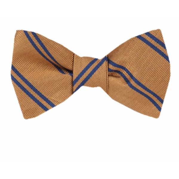 buy your ties Silk Self Tie Bow Tie Style: FBTZ-1497