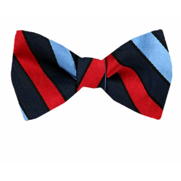 buy your ties Silk Self Tie Bow Tie Style: FBTZ-1508