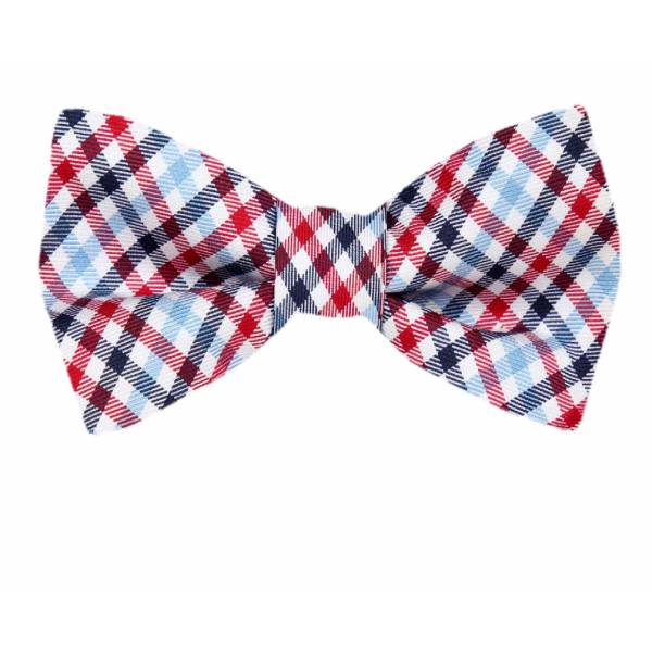 buy your ties Silk Self Tie Bow Tie Style: FBTZ-1521