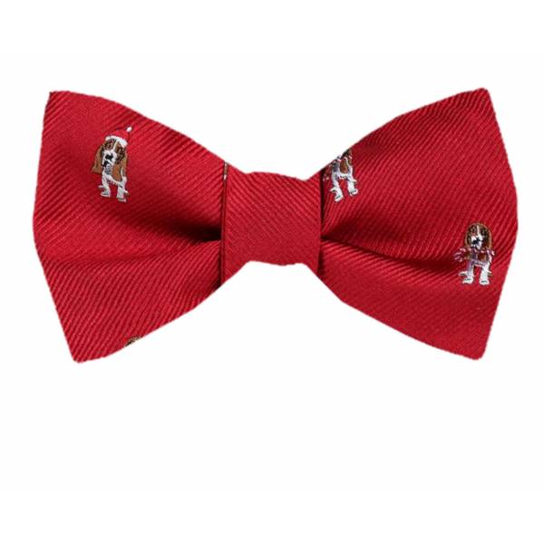 buy your ties Silk Self Tie Bow Tie Style: FBTZ-1542