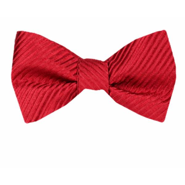 buy your ties Silk Self Tie Bow Tie Style: FBTZ-1700
