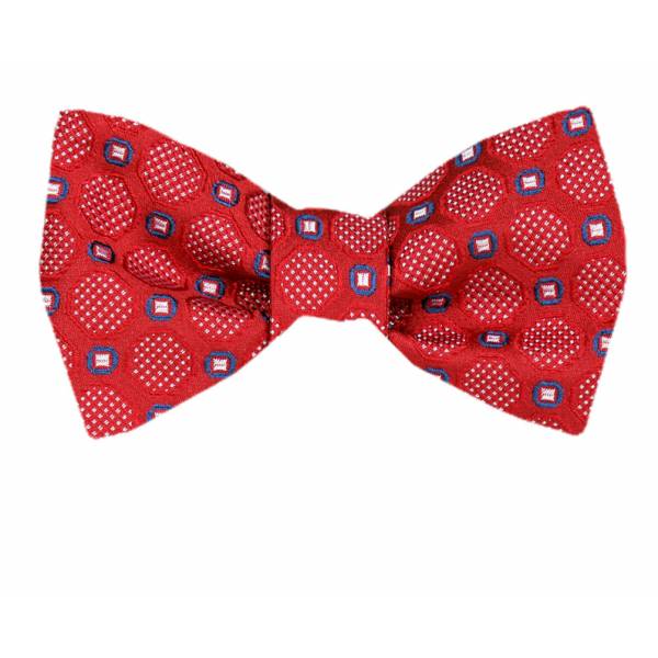 buy your ties Silk Self Tie Bow Tie Style: FBTZ-1703