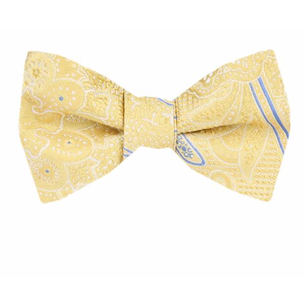 buy your ties Silk Self Tie Bow Tie Style: FBTZ-1709