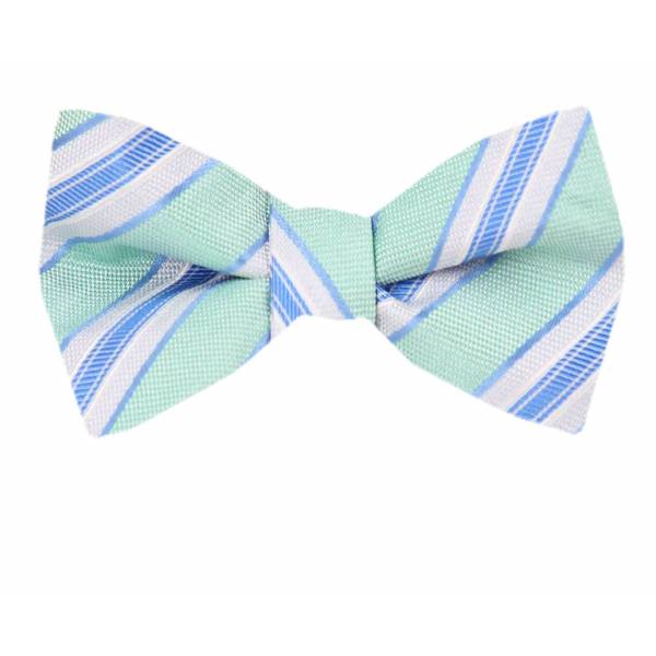 buy your ties Silk Self Tie Bow Tie Style: FBTZ-1793