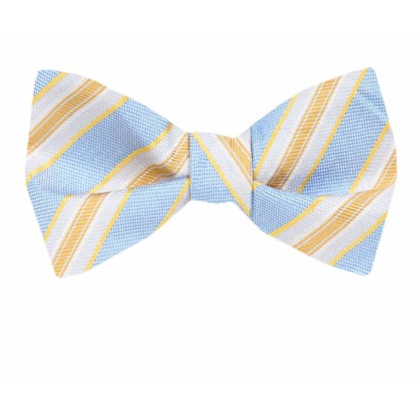 buy your ties Silk Self Tie Bow Tie Style: FBTZ-1803