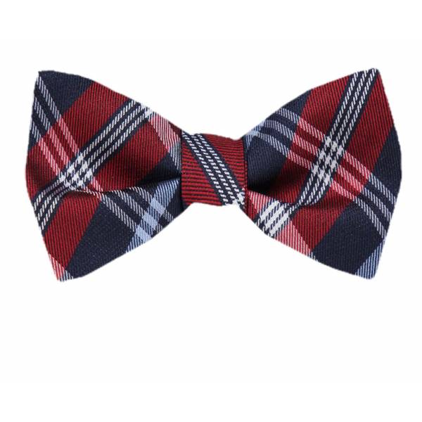 buy your ties Silk Self Tie Bow Tie Style: FBTZ-1810