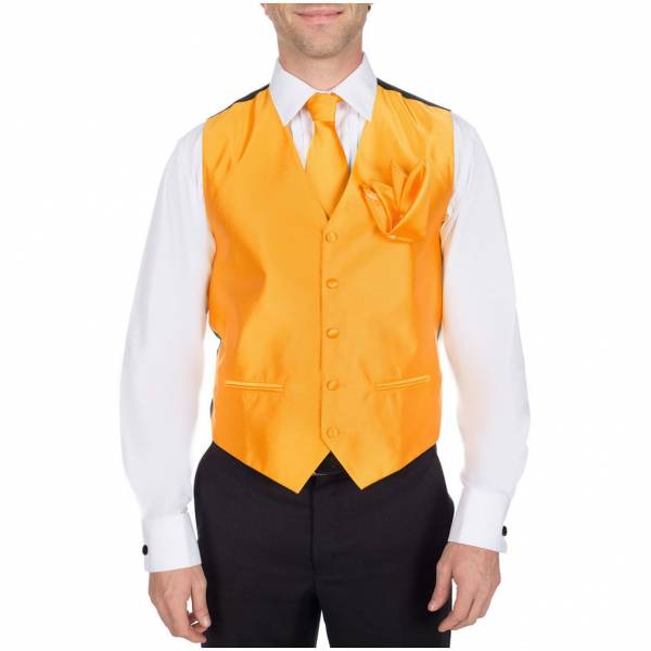 buy your ties Solid Vest Tie & Hanky Style: VTH-ADF-49